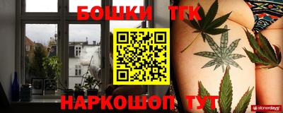 Альфа ПВП Канаш